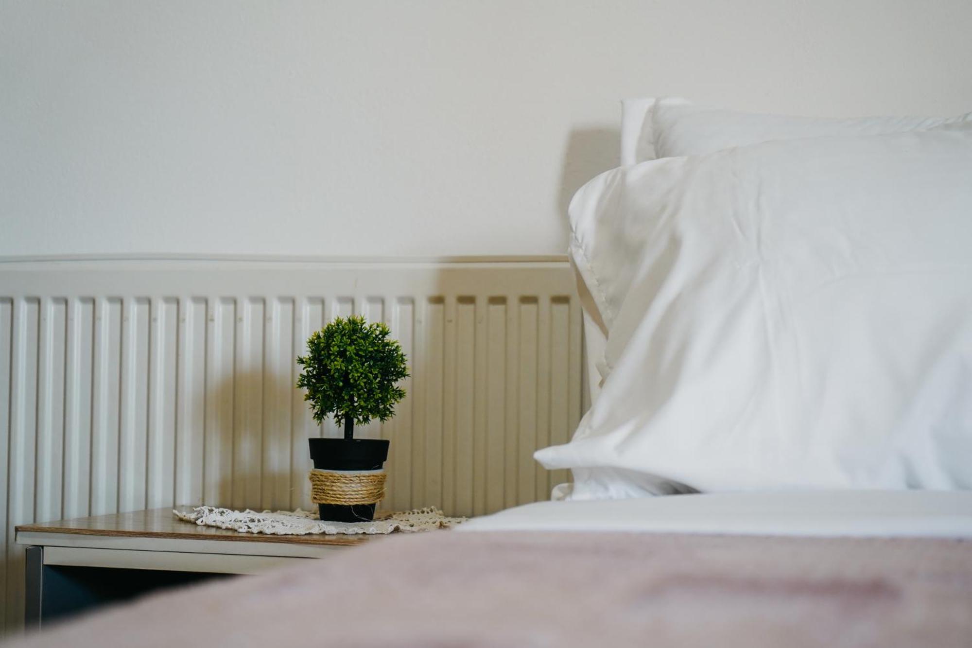 Hotel Bujtina Anlu Nepravishte Zewnętrze zdjęcie