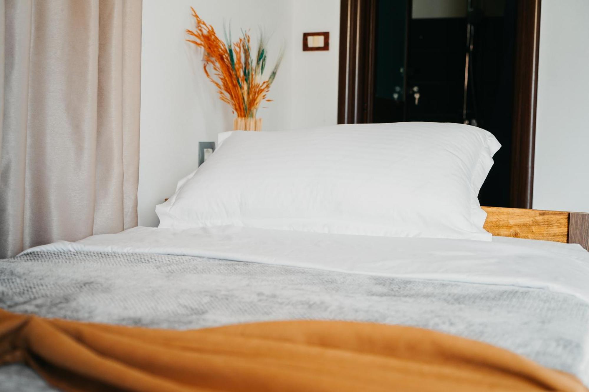 Hotel Bujtina Anlu Nepravishte Zewnętrze zdjęcie