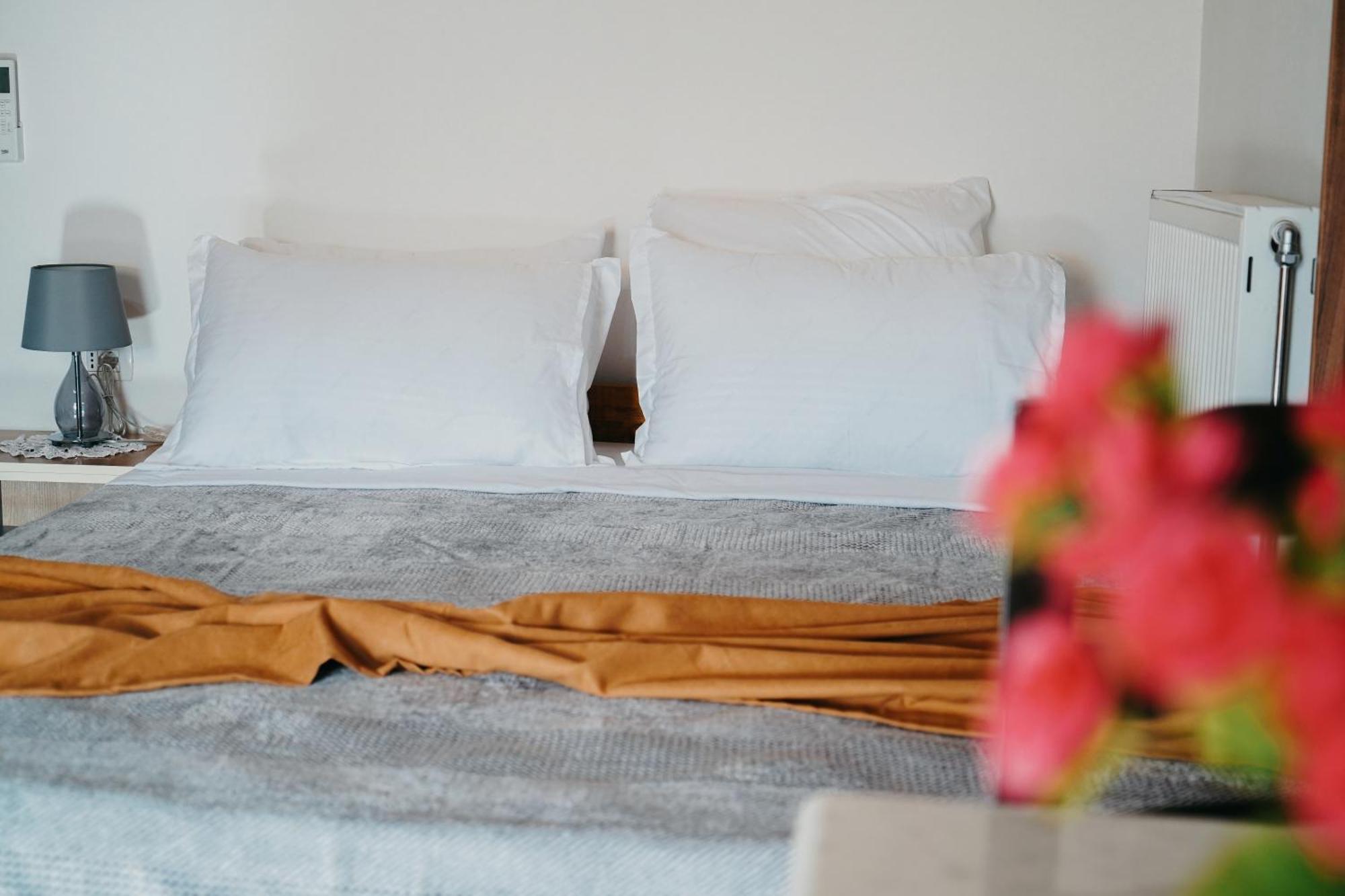 Hotel Bujtina Anlu Nepravishte Zewnętrze zdjęcie