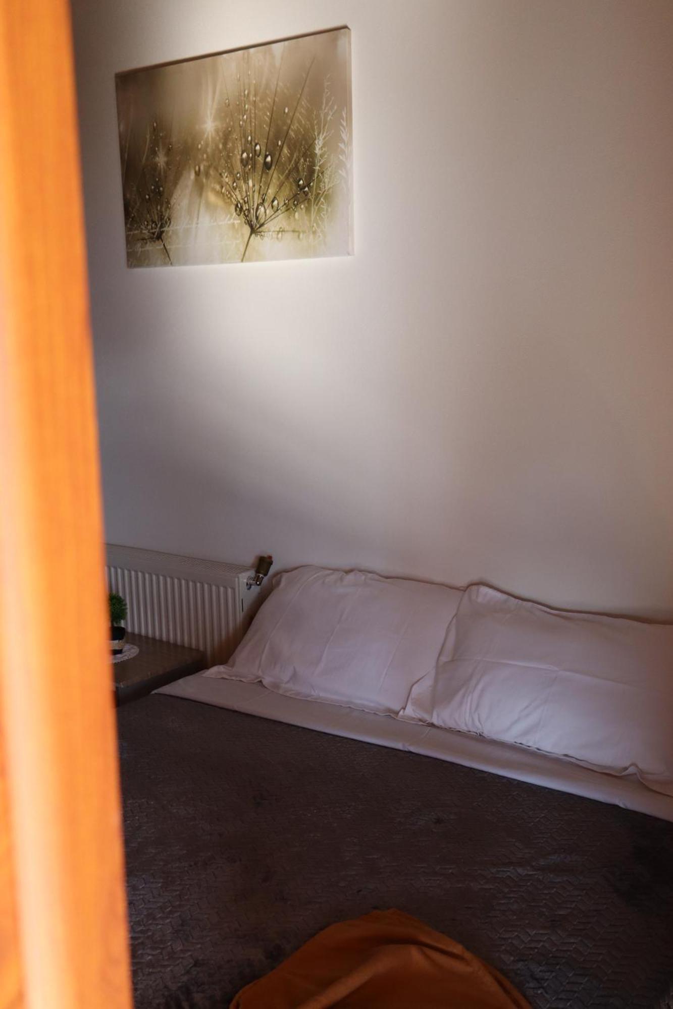 Hotel Bujtina Anlu Nepravishte Zewnętrze zdjęcie