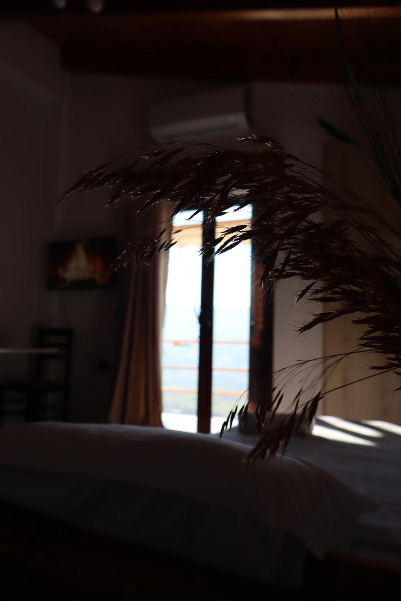 Hotel Bujtina Anlu Nepravishte Zewnętrze zdjęcie