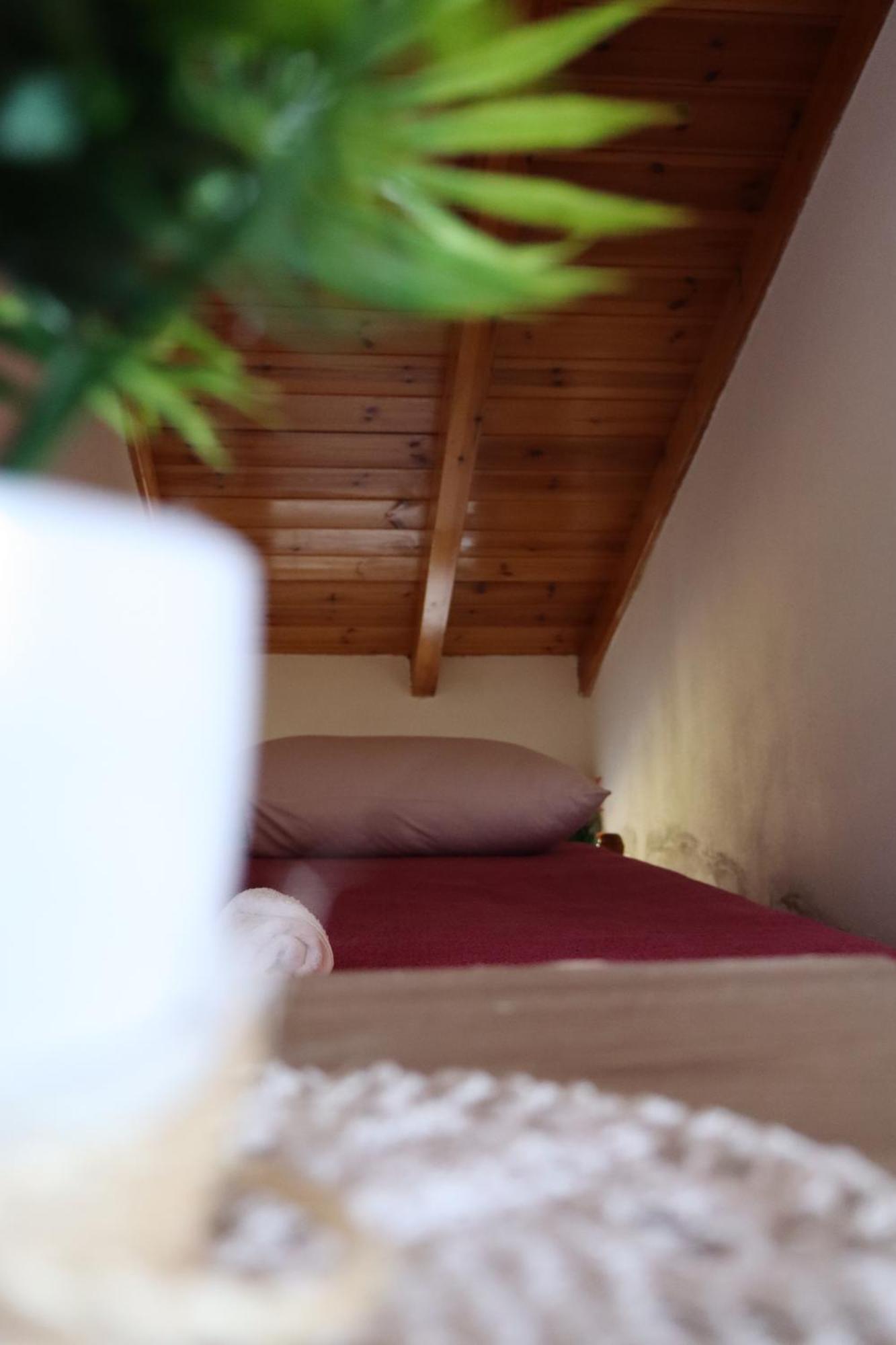 Hotel Bujtina Anlu Nepravishte Zewnętrze zdjęcie