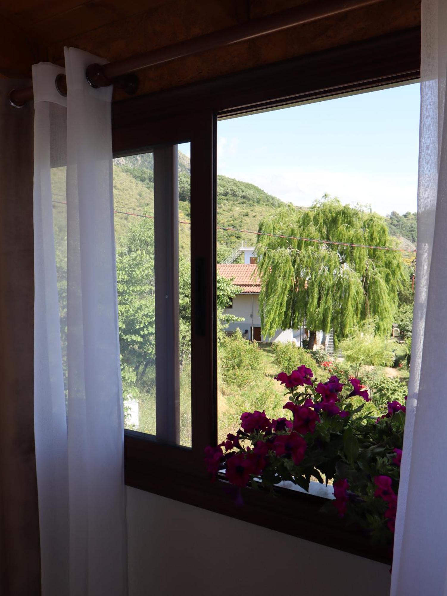 Hotel Bujtina Anlu Nepravishte Zewnętrze zdjęcie