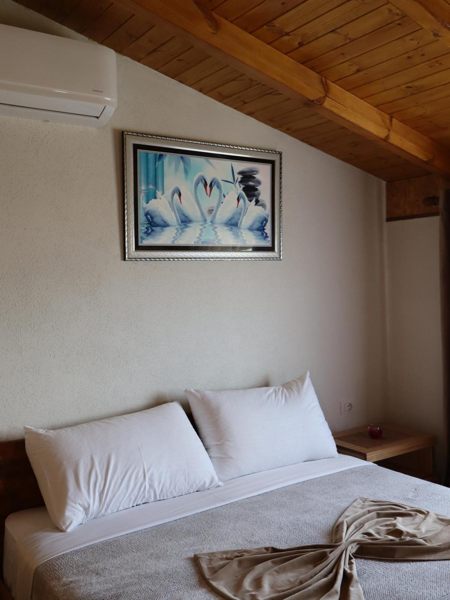 Hotel Bujtina Anlu Nepravishte Zewnętrze zdjęcie